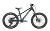 Transition Bandit 20" (Black and Green)