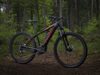 Trek Powerfly 4 (černá) 2019