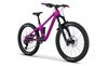 Transition Ripcord 24" (Boysenberry)