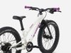 Trek Wahoo 20 trail (Crystal White)