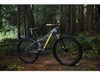 Trek Marlin 6 WSD (šedá) 2019