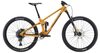 Transition Sentinel Carbon NX Eagle (Loam Gold)