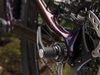 Trek Top Fuel 9.8 SL (fialová Project One) 2019