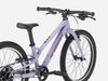 Trek Wahoo 20 Path (Lavender Haze)