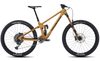 Transition Sentinel Carbon X01 Eagle (Loam Gold)