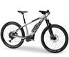 Trek Powerfly 9 2018 (šedá)