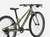 Trek Wahoo 24 Path (Chameleon Green)