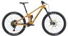 Transition Sentinel Carbon GX Eagle (Loam Gold)