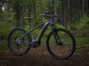 Trek Powerfly 7 (šedá) 2019