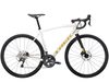 Trek Domane AL 4 Disc 2021 (Era White/Carbon Smoke)