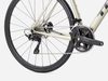 Trek Domane AL 5 (Gloss Supernova)