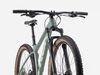 Trek Procaliber 6 (Desert Sage)