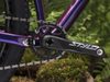 Trek Procaliber 9.8 (fialová Project One) 2019