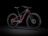 Trek Fuel EX 9.8 GX 2021 (Raw Carbon/Rage Red)