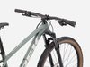 Trek Procaliber 6 (Desert Sage)
