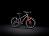 Trek Wahoo 20 (Lithium Grey/Radioactive Red)