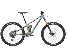 Transition Sentinel Carbon AXS Eagle (misty green)
