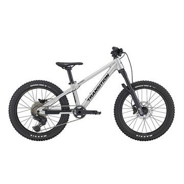 Transition Bandit 20" (Raw Alloy)