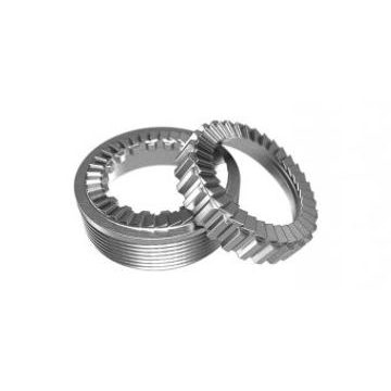 Zubatky DT Swiss L+P EXP 54z