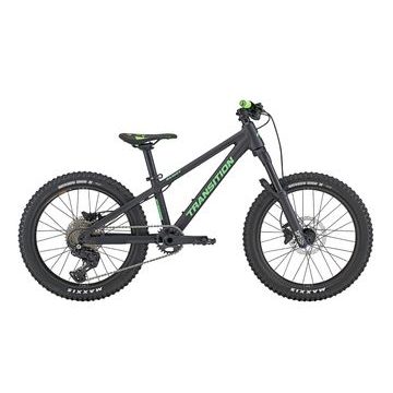Transition Bandit 20" (Black and Green)