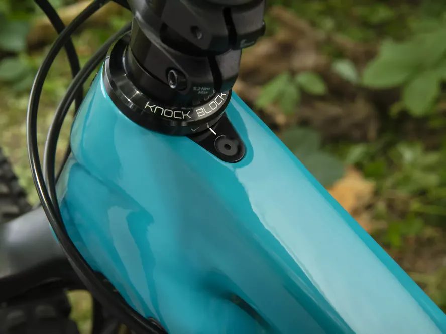 Trek Remedy 9.9 (šedá/zelená) 2020