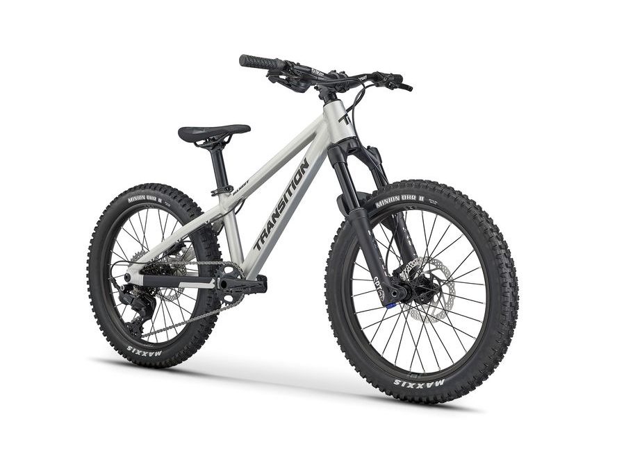 Transition Bandit 20" (Raw Alloy)