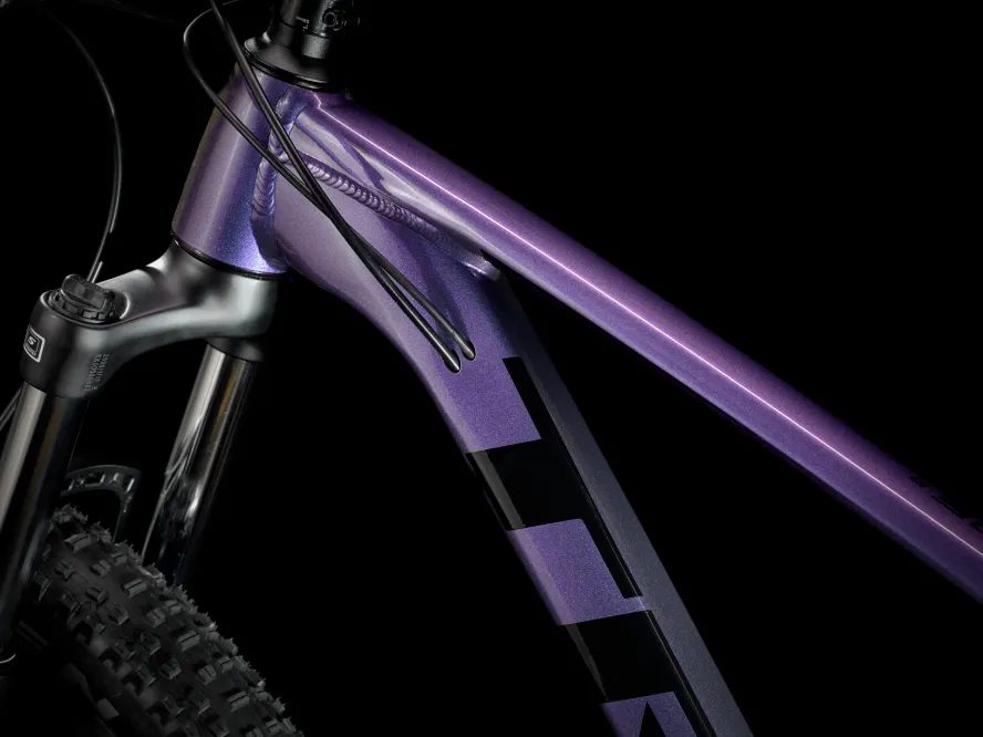 Trek Roscoe 6 (Purple Flip/Trek Black)