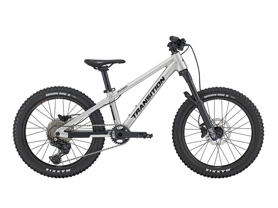 Transition Bandit 20" (Raw Alloy)