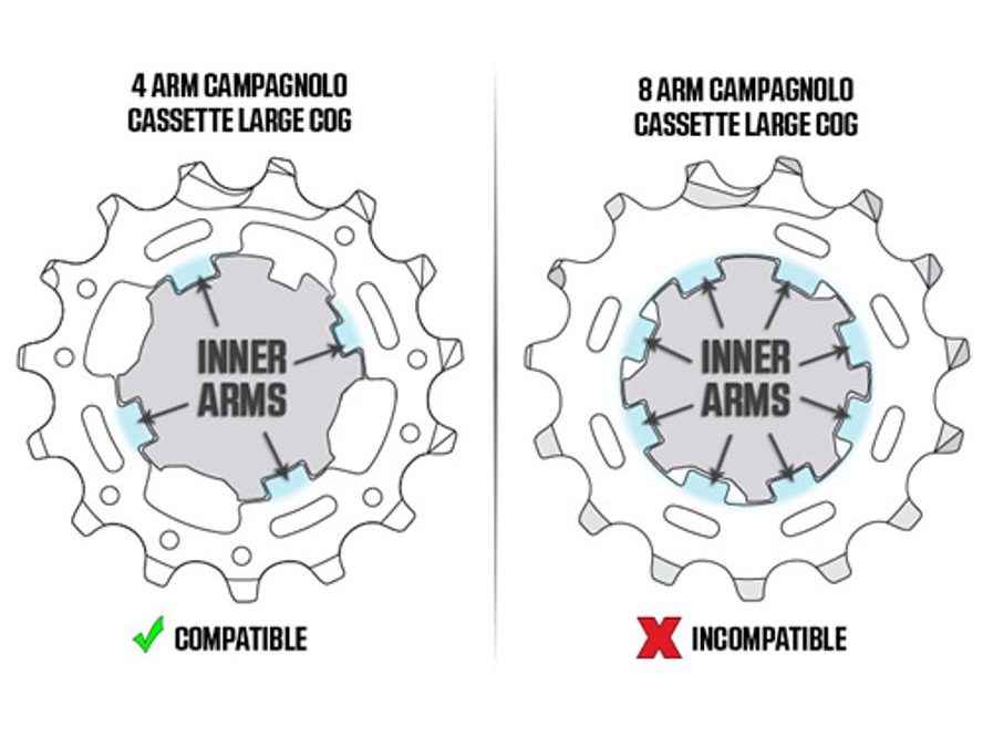 Ořech Wahoo Kickr Campa