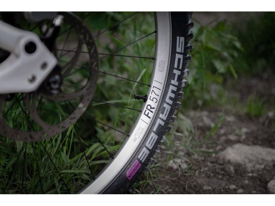 Ráfek 29" DT Swiss FR 571 (stříbrná)