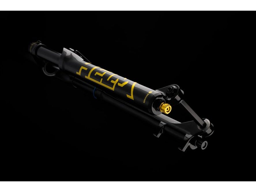 Vidlice 29" Cane Creek Helm WORKS MK2