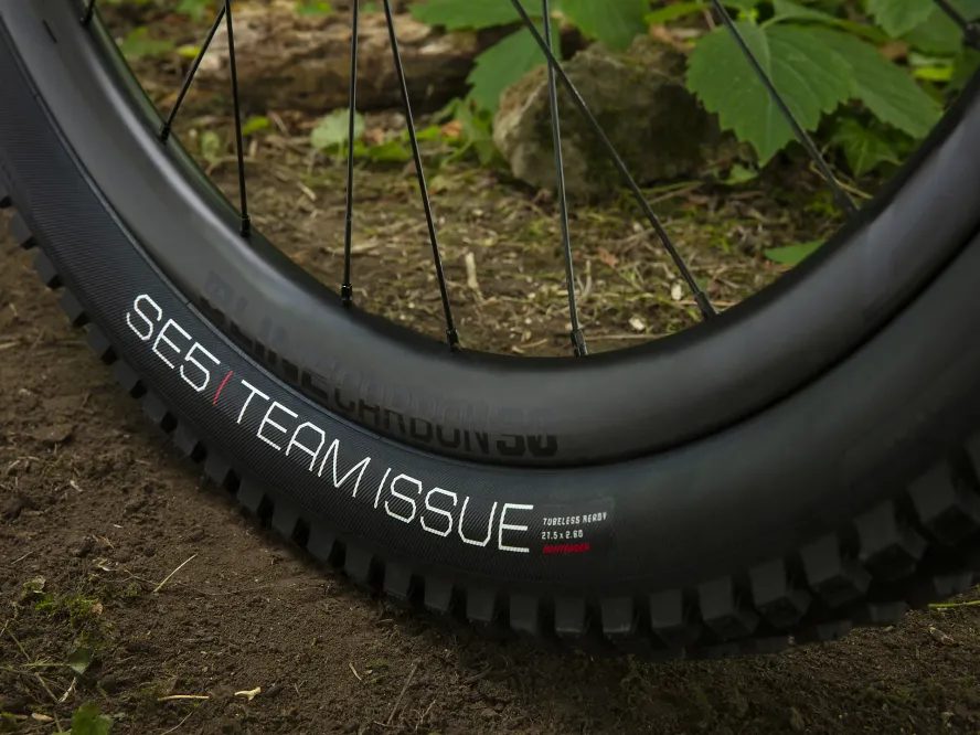 Trek Remedy 9.9 (šedá/zelená) 2020