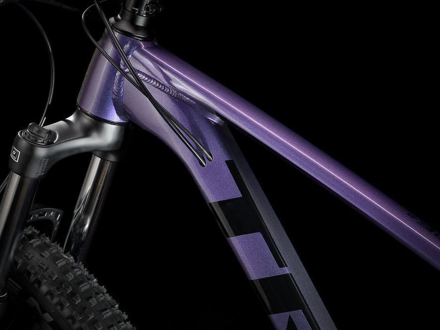 Trek Roscoe 6 2021 (Purple Flip/Trek Black)