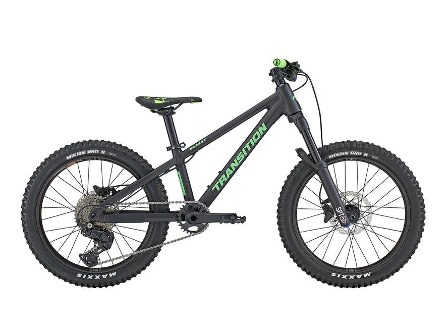 Transition Bandit 20" (Black and Green)
