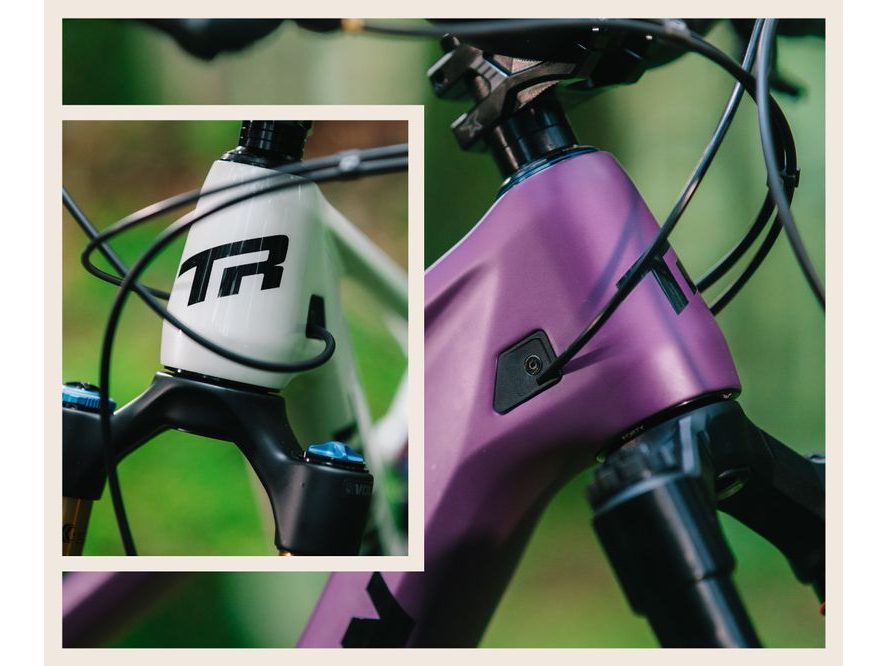 Transition Sentinel Carbon XT V3 (Deep Purple)