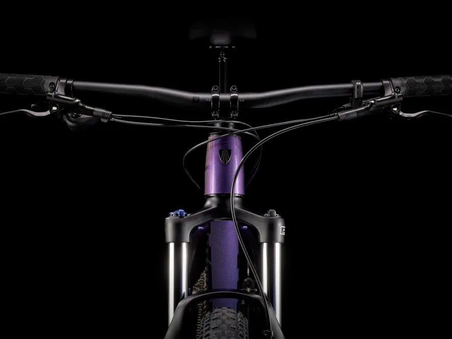 Trek Roscoe 6 (Purple Flip/Trek Black)