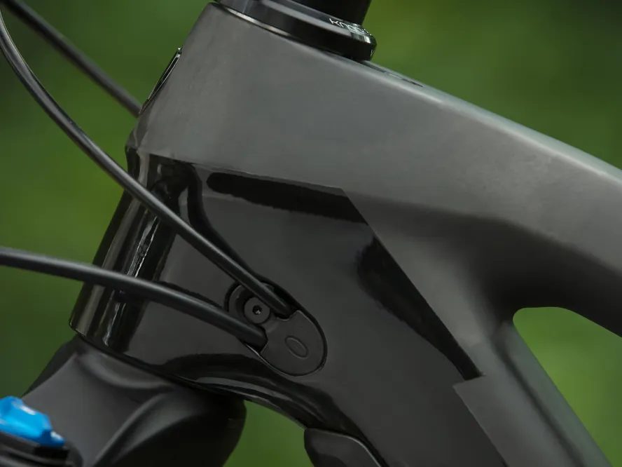 Trek Fuel EX 9.7 2021 (Matte Raw Carbon/Gloss Trek Black)