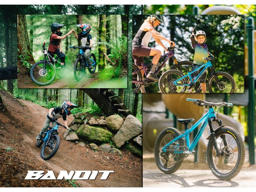 Transition Bandit 20" (Black and Green)