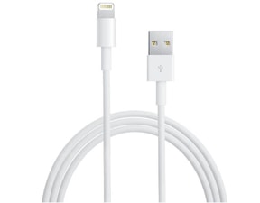 Apple Lightning USB datový a nabíjecí kabel 1m