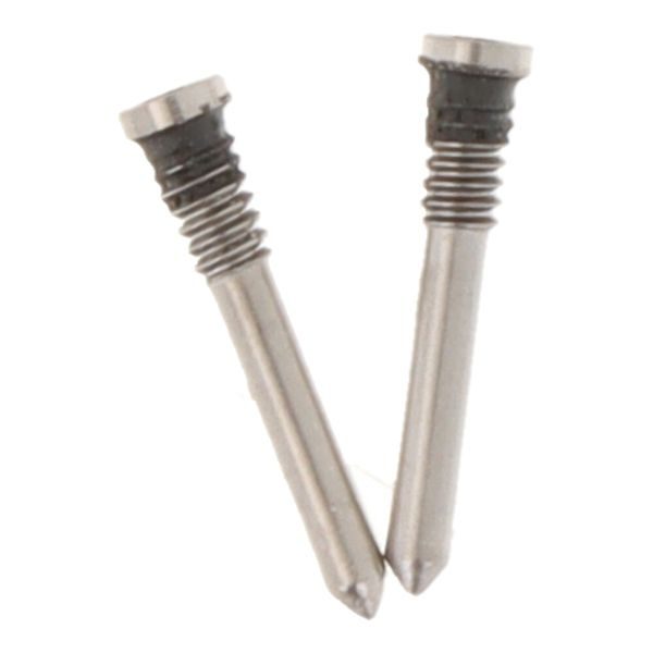 Bottom Pentalobe Screws for iPhone (Set of 2) Natural Titanium