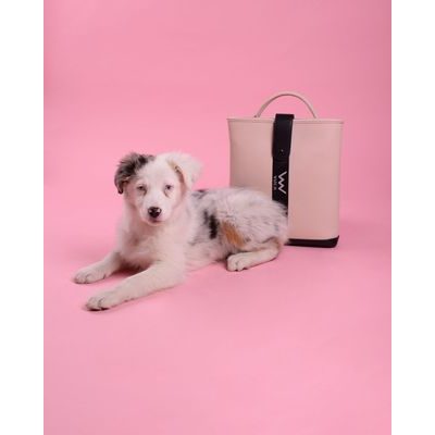 Pomoc zvieratkám zo záchrannej stanice a ekoncentra Pasíčka