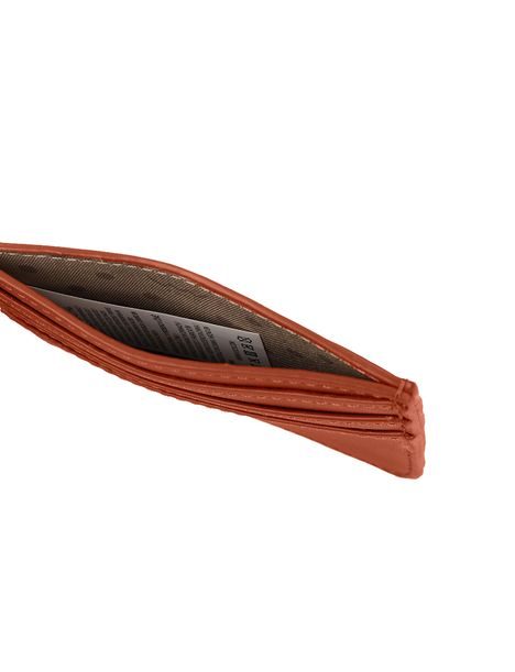Crypta Brown