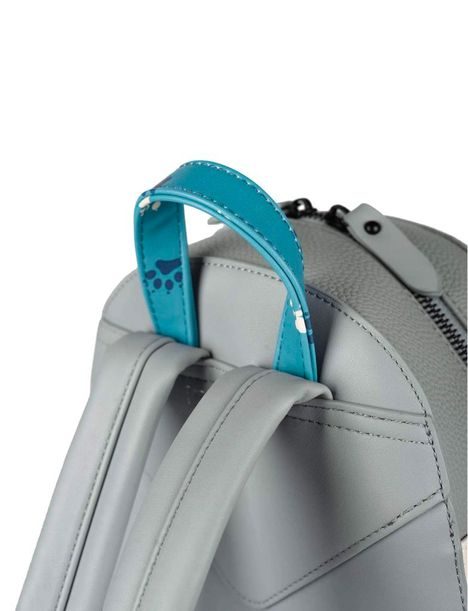 Dog walkers backpack