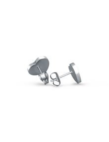 Silver Ischi