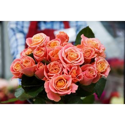 A VUCH és a Valentin nap is V-vel kezdődik… Véletlen lenne csupán? Nem hisszük