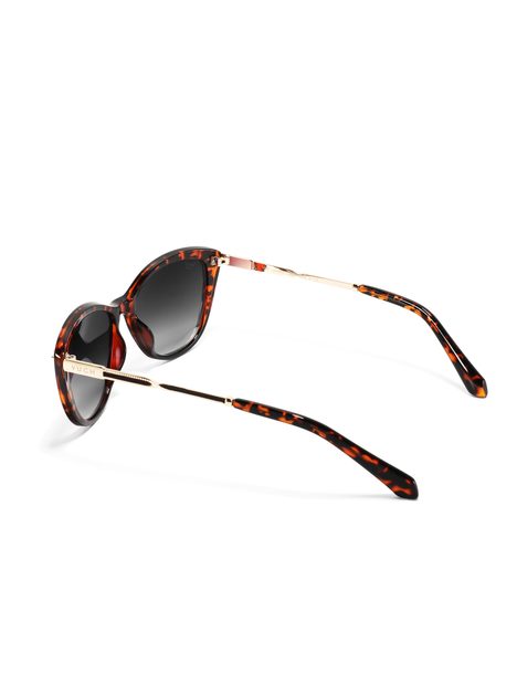 Amra Design Brown