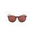 Carny Design Brown