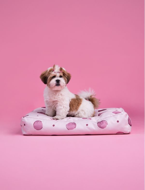 Buddys Dotty Beige