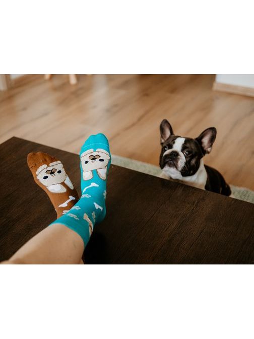 Kétszínű zokni Bulldog kutya