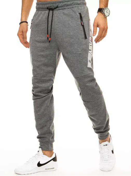 Stílusos szürke melegítő nadrág Easy